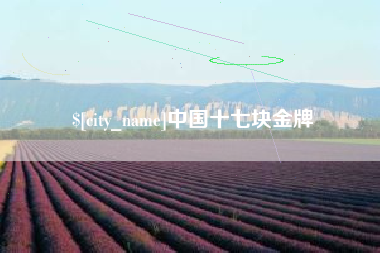 固安中国十七块金牌