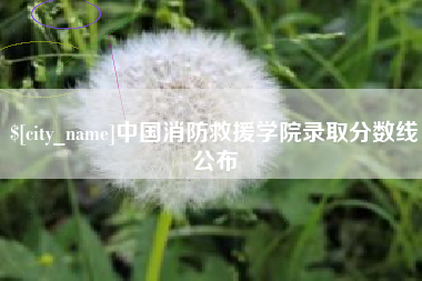 固安中国消防救援学院录取分数线公布