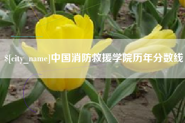 固安中国消防救援学院历年分数线