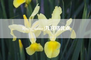 固安九宫格优点