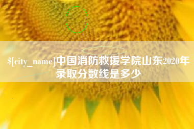固安中国消防救援学院山东2020年录取分数线是多少