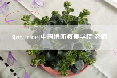 固安中国消防救援学院 老师