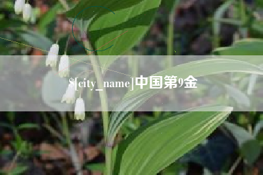 固安中国第9金