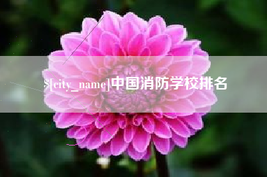 固安中国消防学校排名