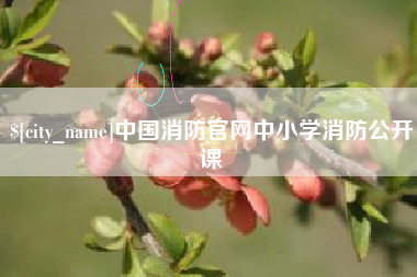 固安中国消防官网中小学消防公开课