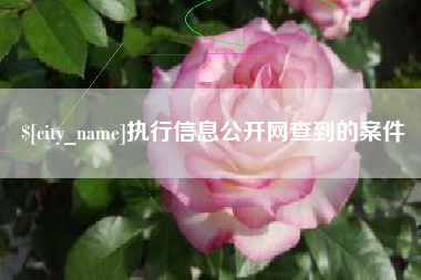 固安执行信息公开网查到的案件