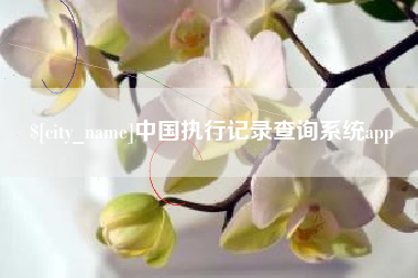 固安中国执行记录查询系统app