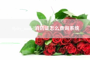 固安消防证怎么查询系统