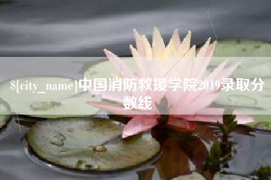固安中国消防救援学院2019录取分数线