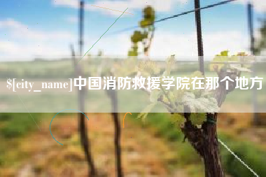 固安中国消防救援学院在那个地方