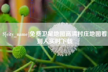 固安免费卫星地图高清村庄地图看到人实时下载