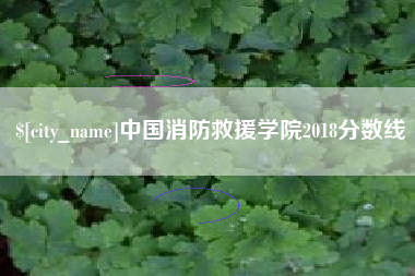 固安中国消防救援学院2018分数线