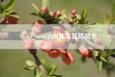 固安2021年九宫格风水