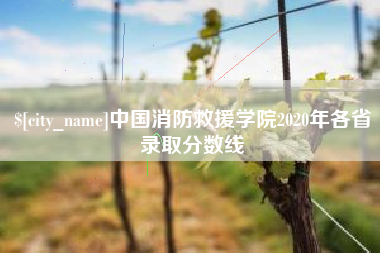 固安中国消防救援学院2020年各省录取分数线