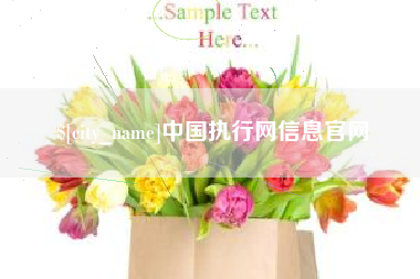 固安中国执行网信息官网