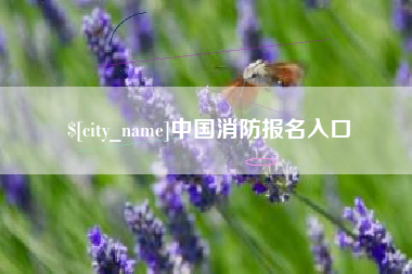 固安中国消防报名入口