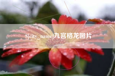 固安九宫格龙图片
