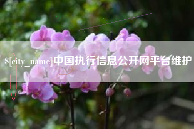 固安中国执行信息公开网平台维护