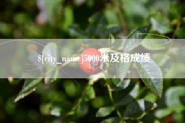 固安5000米及格成绩