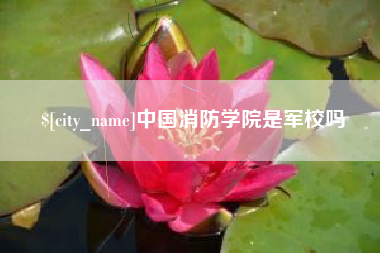 固安中国消防学院是军校吗