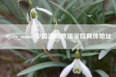 固安中国消防救援学院具体地址
