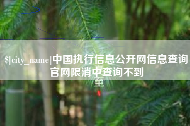 固安中国执行信息公开网信息查询官网限消中查询不到