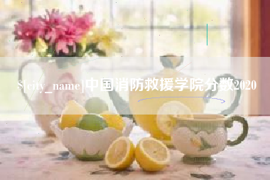 固安中国消防救援学院分数2020