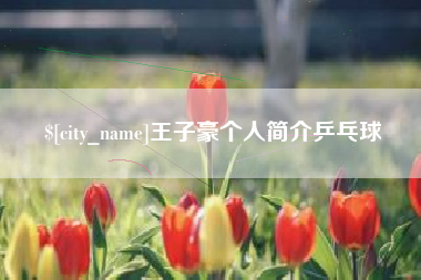 固安王子豪个人简介乒乓球