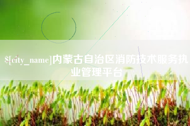 固安内蒙古自治区消防技术服务执业管理平台