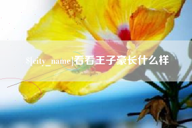 固安看看王子豪长什么样