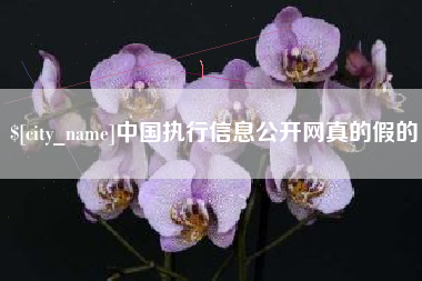 固安中国执行信息公开网真的假的