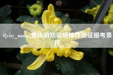 固安重庆消防设施操作员证报考条件