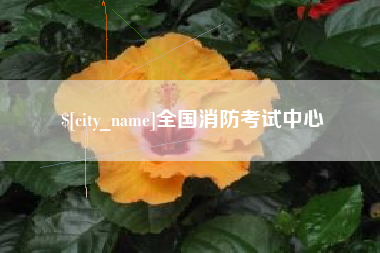 固安全国消防考试中心