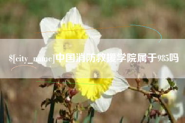 固安中国消防救援学院属于985吗