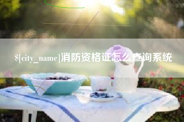 固安消防资格证怎么查询系统