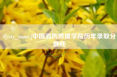 固安中国消防救援学院历年录取分数线