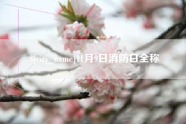 固安11月9日消防日全称