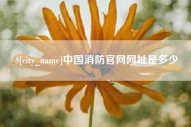 固安中国消防官网网址是多少