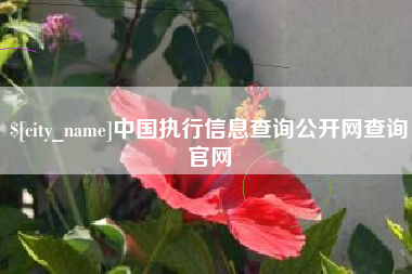 固安中国执行信息查询公开网查询官网