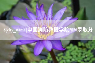 固安中国消防救援学院2020录取分