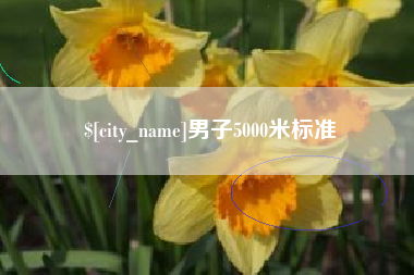 固安男子5000米标准