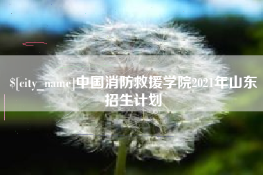 固安中国消防救援学院2021年山东招生计划
