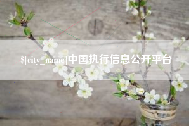 固安中国执行信息公开平台