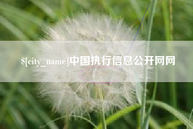 固安中国执行信息公开网网