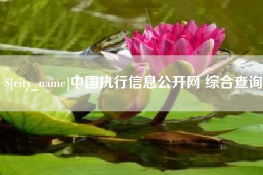 固安中国执行信息公开网 综合查询