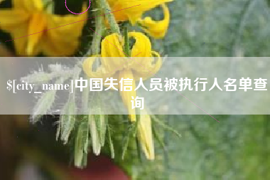 固安中国失信人员被执行人名单查询