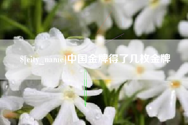 固安中国金牌得了几枚金牌