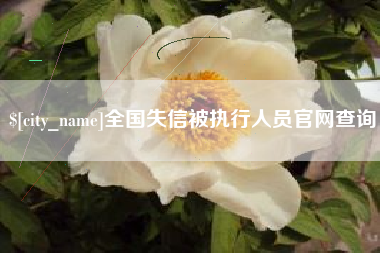 固安全国失信被执行人员官网查询