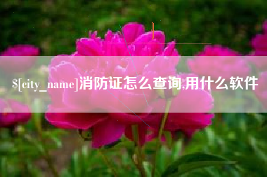 固安消防证怎么查询,用什么软件
