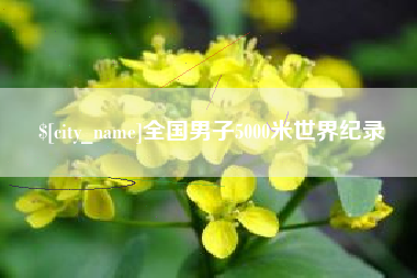 固安全国男子5000米世界纪录